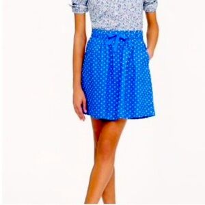 J. Crew Polka Dot Skirt